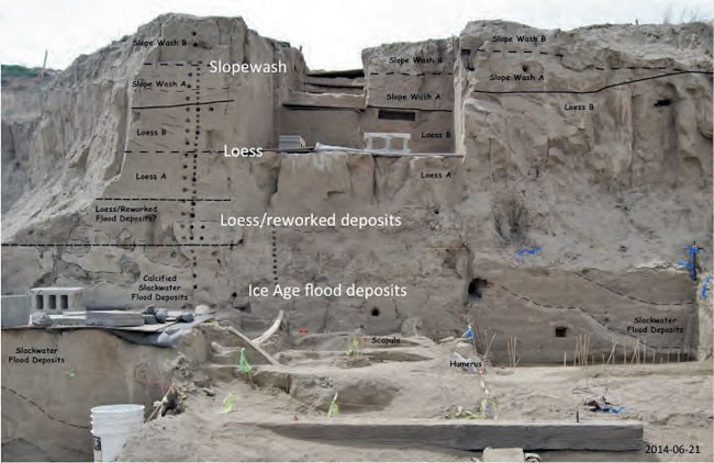 site_stratigraphy_1